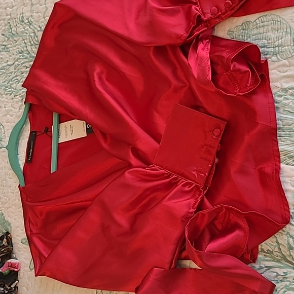 Satin Red Blouse - Picture 1 of 4